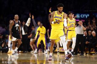 或许将有机 或许将有机